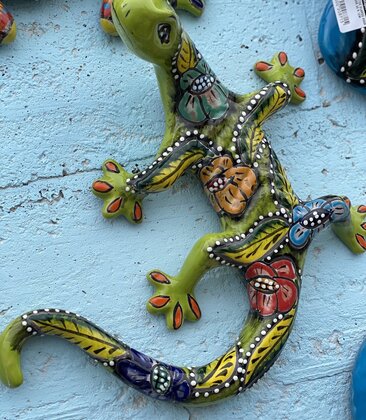 TALAVERA SALAMANDER LG