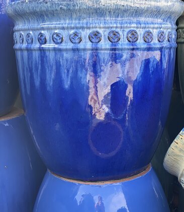 Premium Coin Planter  Large FBLB