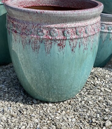 Premium Coin Planter Medium WRMB