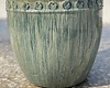Premium Coin Planter Medium NC