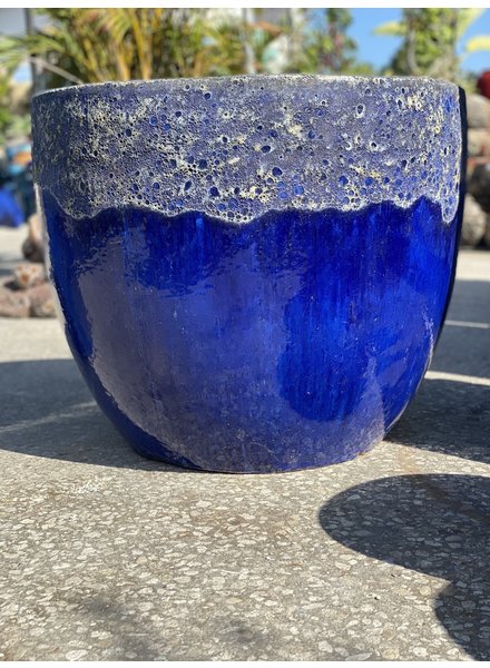 sarasota egg lg