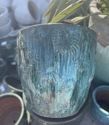 Premium Desoto Daisy Planter Lg FG
