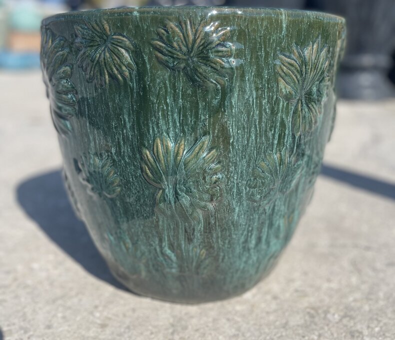 Premium Desoto Daisy Planter MD FG