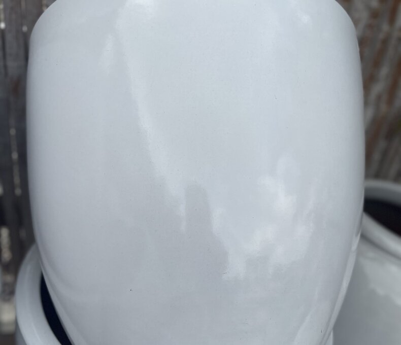 Premium Smooth Egg Planter Large W