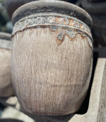 Premium Coin Planter Medium VDB