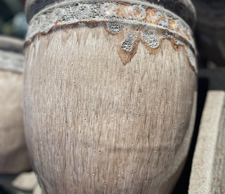 Premium Coin Planter Medium VDB