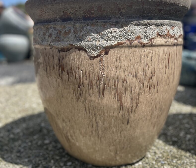 Premium Coin Planter Large VDB