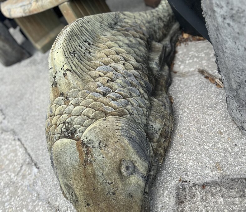 Giant Koi Statuary WS 130lbs