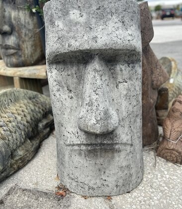 RAPA NUI FACE Large BG 150LBS