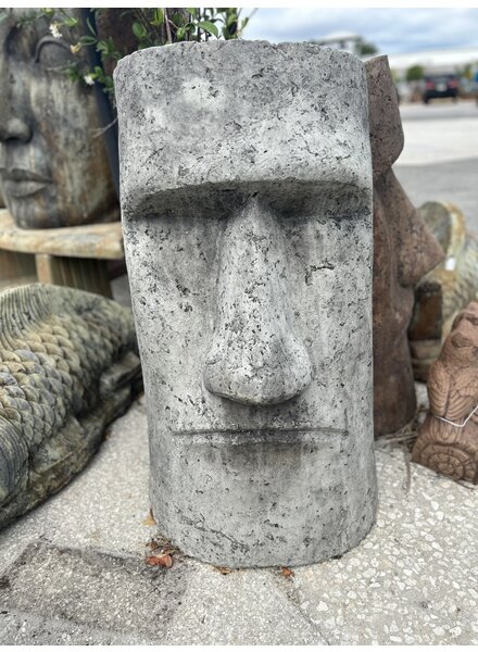 RAPA NUI FACE Large BG 150LBS