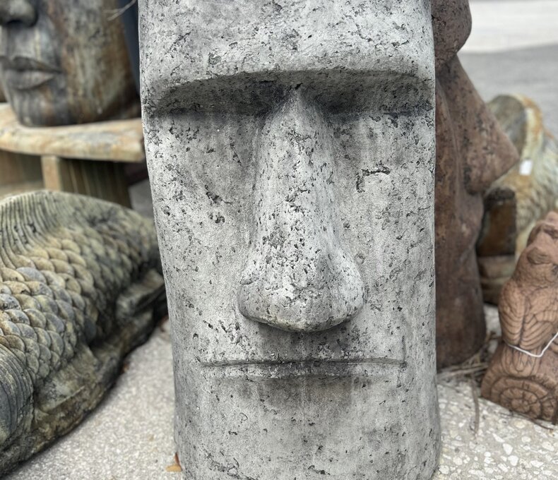 RAPA NUI FACE Large BG 150LBS