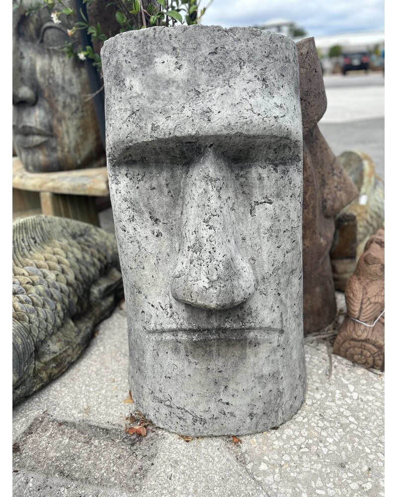 RAPA NUI FACE Large BG 150LBS