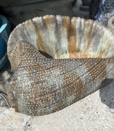 Large Conch Planter WS 180 lb