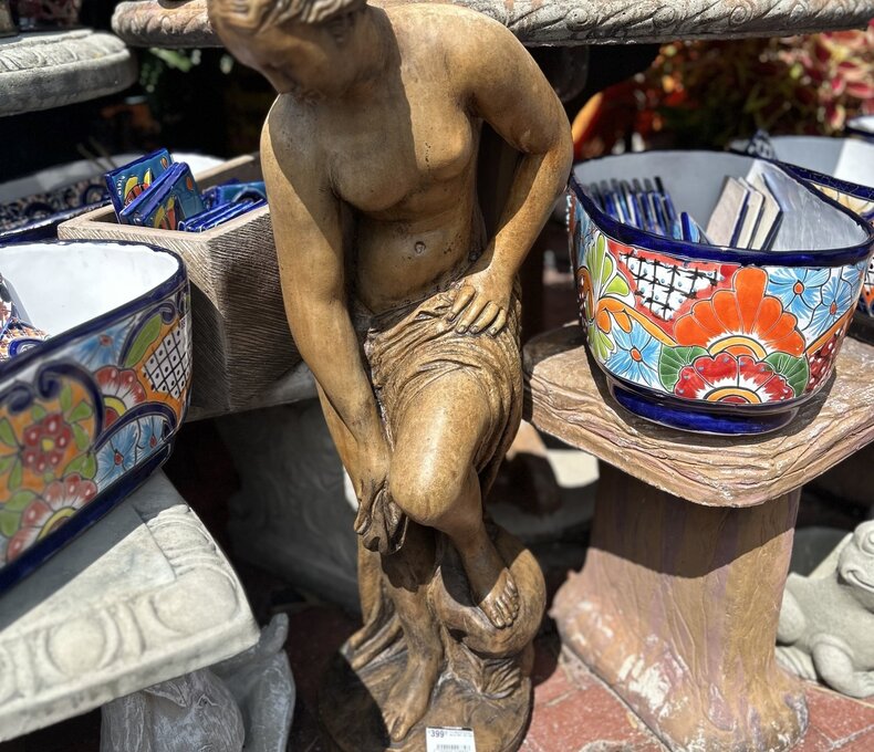 The Bather
