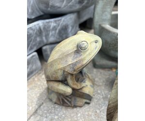 Barry The Frog 60 Lbs - PotteryScapes