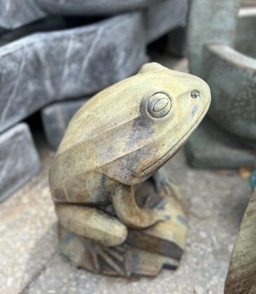 Barry The Frog 60 Lbs