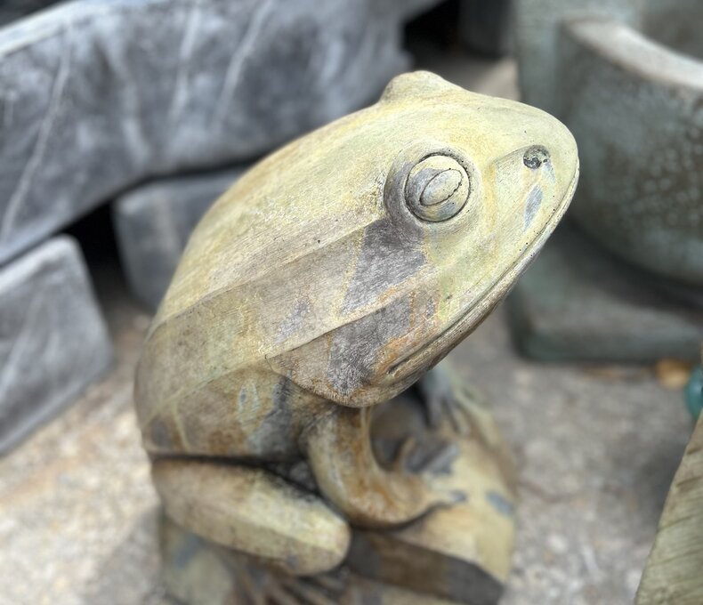 Barry The Frog 60 Lbs