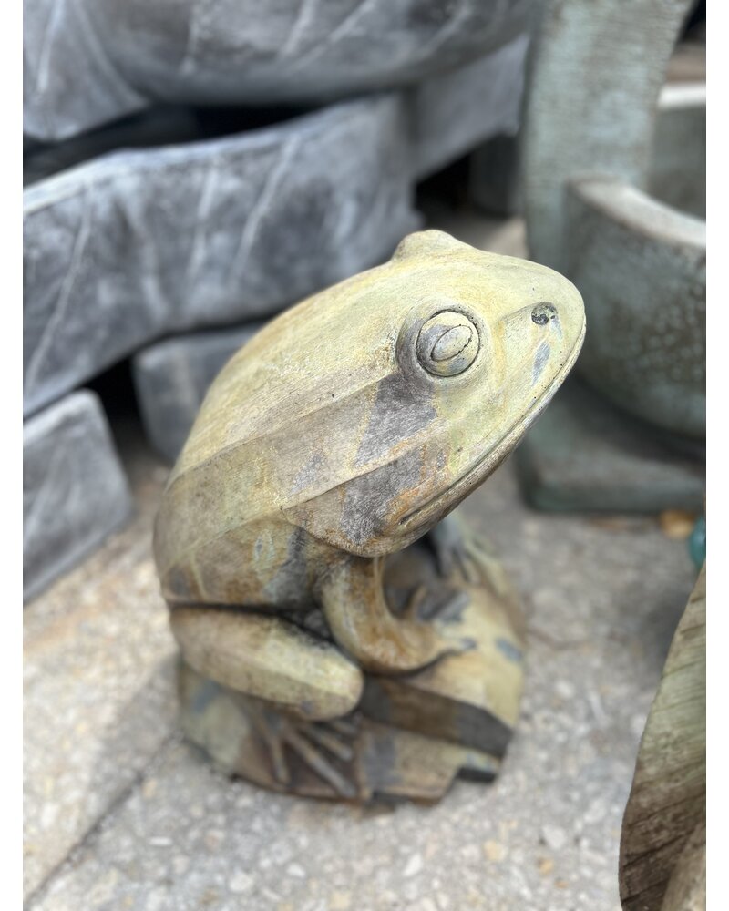 Barry The Frog 60 Lbs