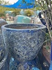 Sarasota Egg Planter XLarge BB