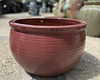 Premium Scrapes Bowl Large PO
