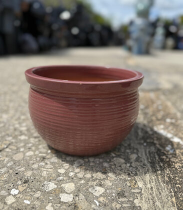 Premium Scrapes Bowl Small PO