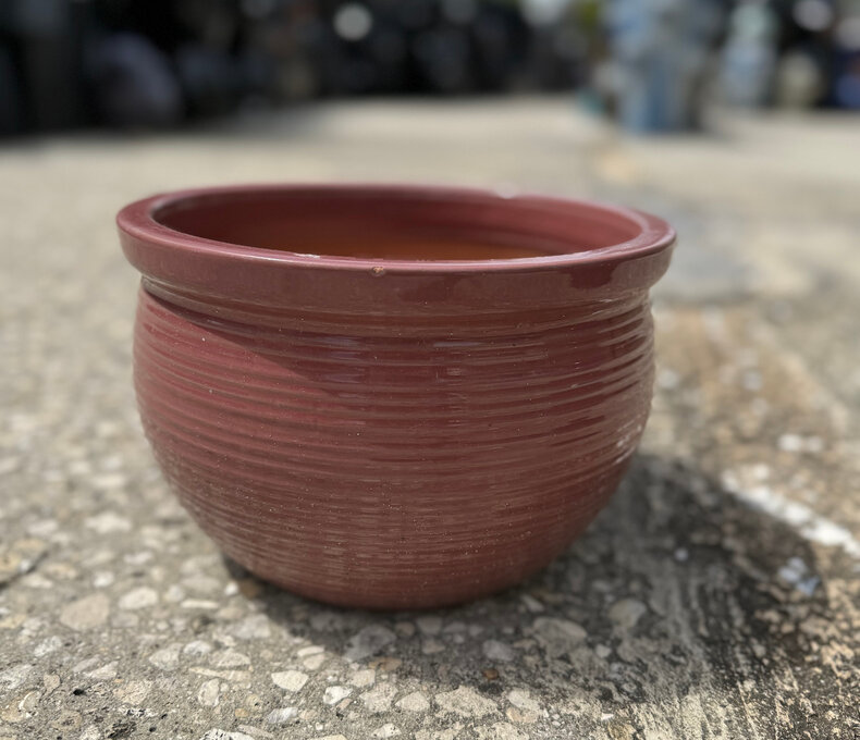 Premium Scrapes Bowl Small PO