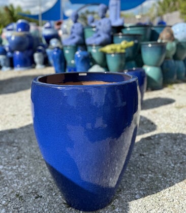 PREMIUM  TALL TULIP PLANTER MEDIUM LB
