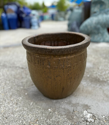 Premium Coin Planter Small AG