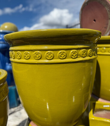 Premium Coin Planter XLarge SY