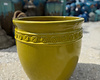 Premium Coin Planter  Large SY