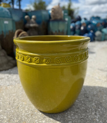 Premium Coin Planter  Large SY