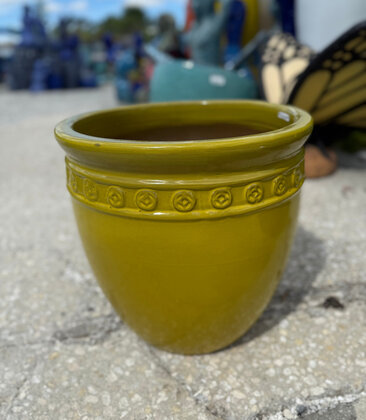 Premium Coin Planter Medium SY