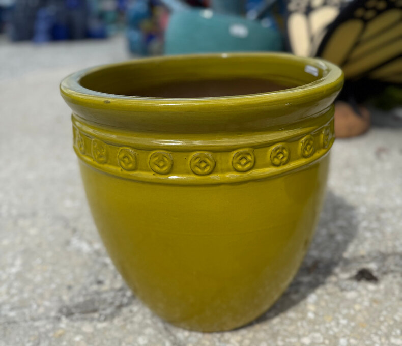 Premium Coin Planter Medium SY