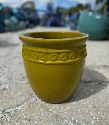 Premium Coin Planter Small SY