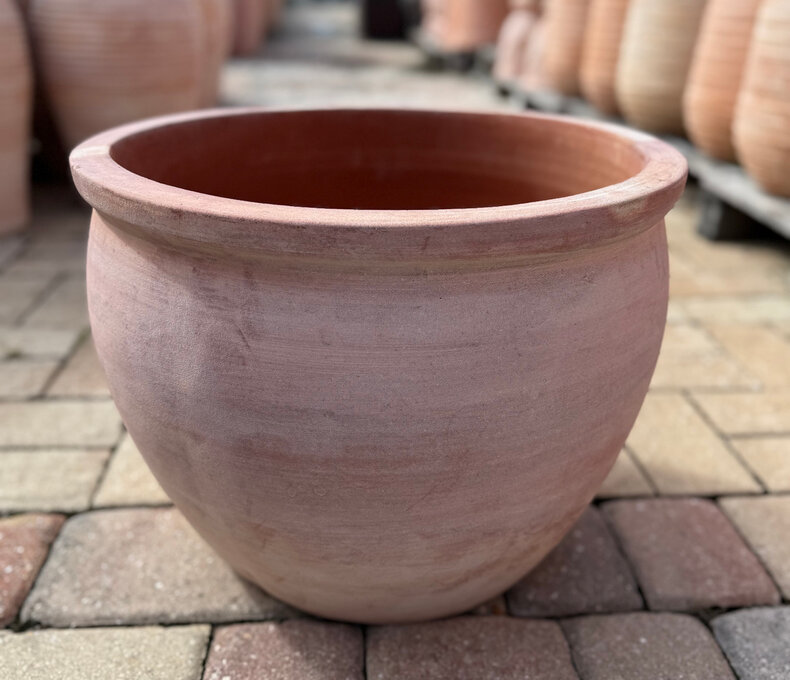 Premium Rolled Rim Terracotta Bowl Md