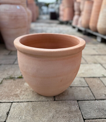 Premium Rolled Rim Terracotta Bowl Sm