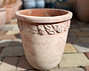 Premium Primrose Terracotta Egg Sm