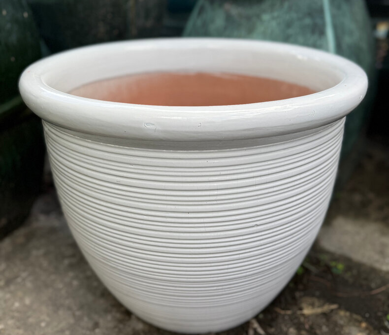 PREMIUM LOW LINED PLANTER LG