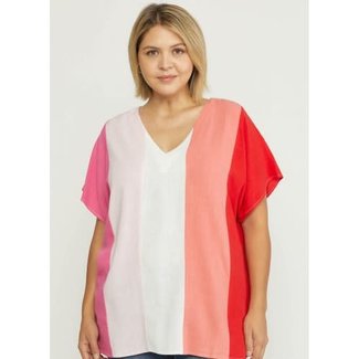 Pink Combo V-Neck Top