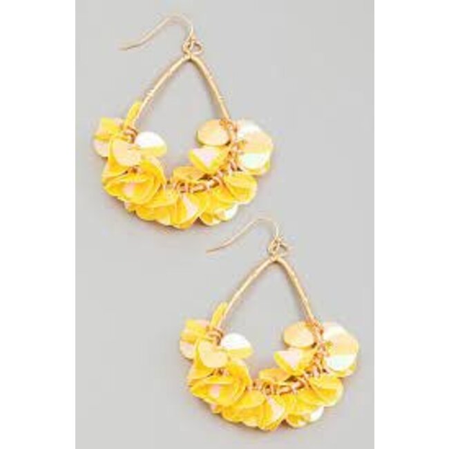 Sequin Fringe Tear Drop Hook Earrings