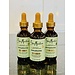 Shea Moisture Scalp & Hair Rosemary Oil
