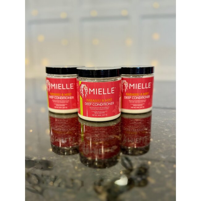 Mielle Babassu & Mint Deep Conditioner