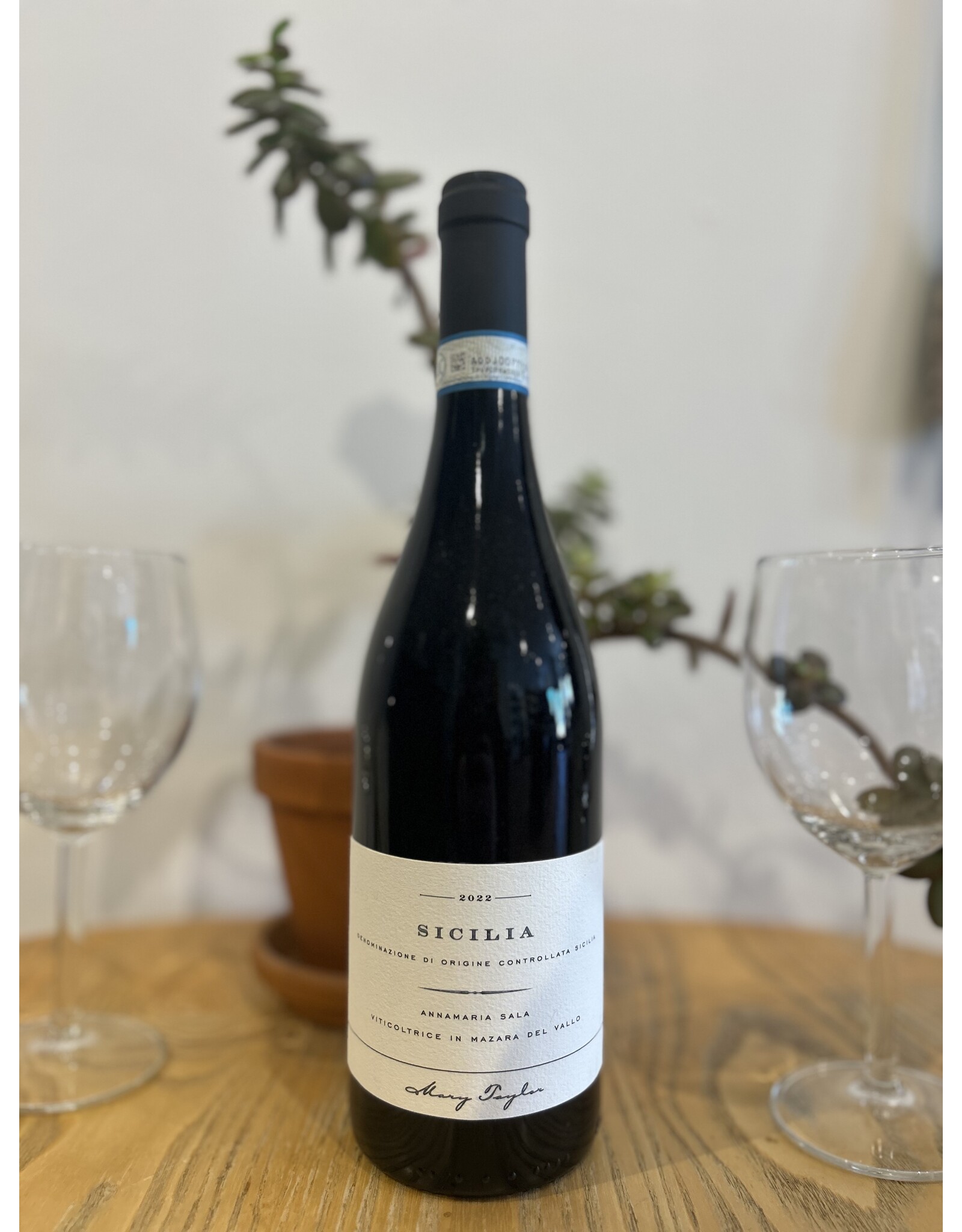 Annamaria Sala Sicilia Rosso 2024 (A Mary Taylor Wine)