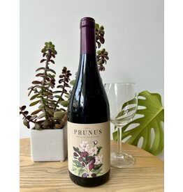 Gota Wine Prunus Dão Tinto 2023