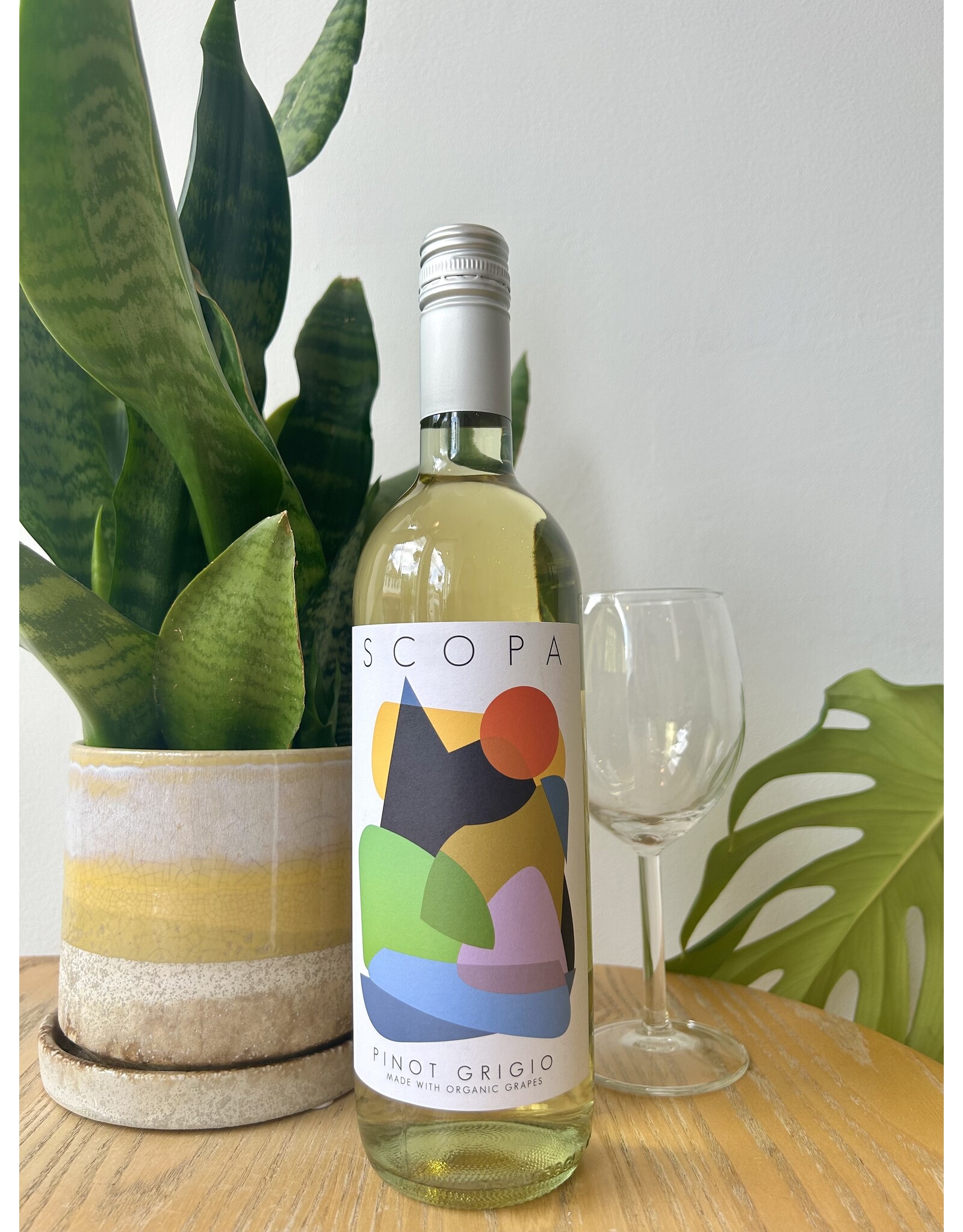 Scopa Pinot Grigio 2025