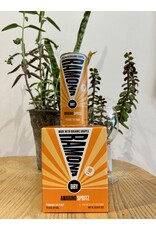 Ramona Amarino Wine Spritz 4 pack cans
