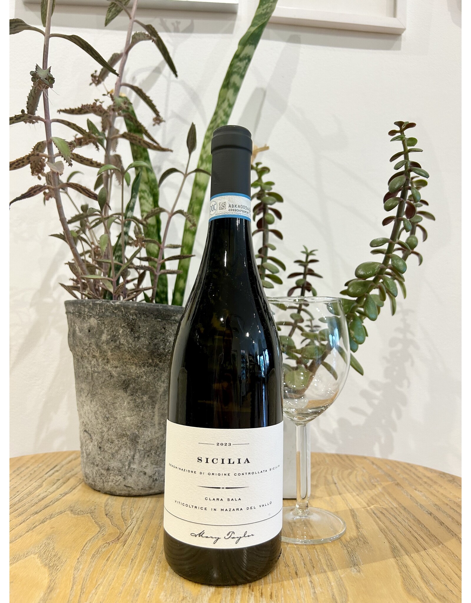 Clara Sala Sicilia Bianco 2024 (A Mary Taylor Wine)