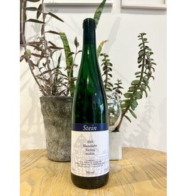 Stein Riesling Blauschiefer Trocken 2023