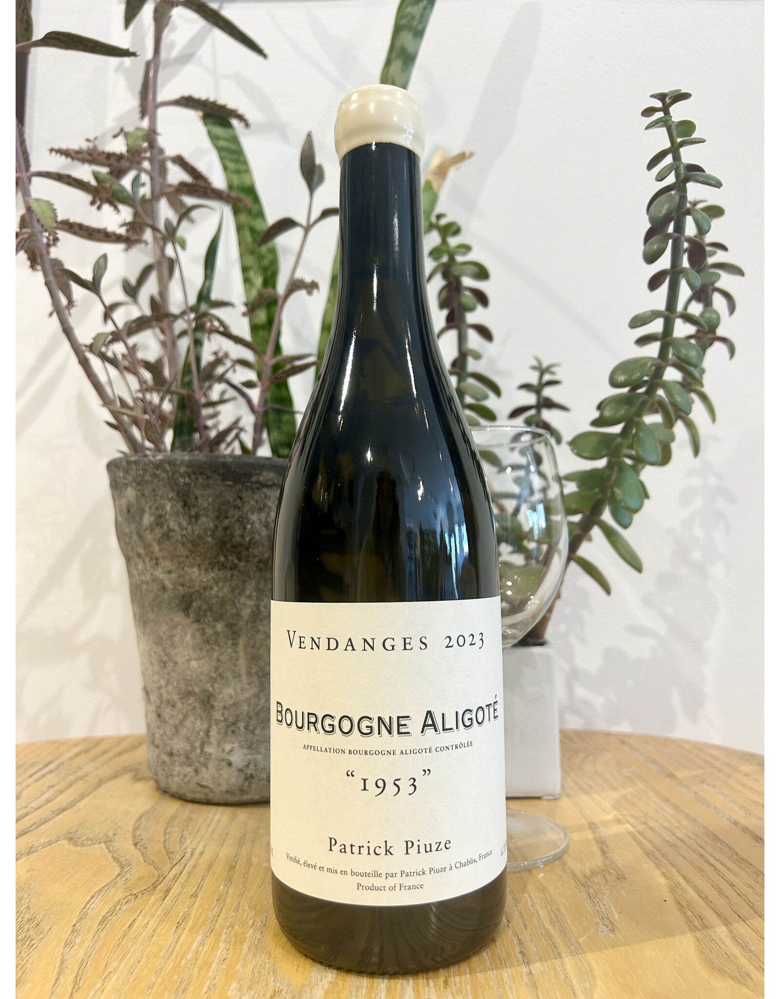 Patrick Piuze Bourgogne Aligote 1953 2023