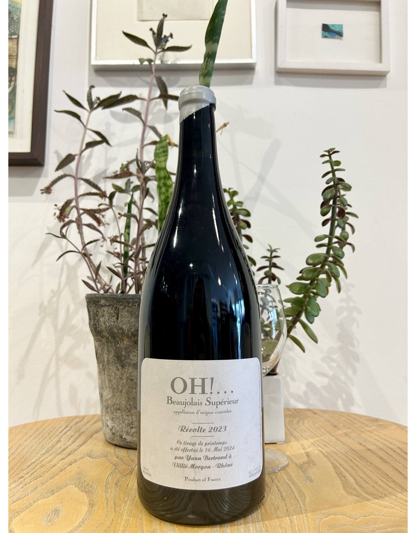 Yann Bertrand Beaujolais Oh! 2025 1.5L MAGNUM